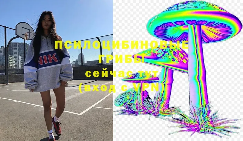 Галлюциногенные грибы MAGIC MUSHROOMS  Оленегорск 